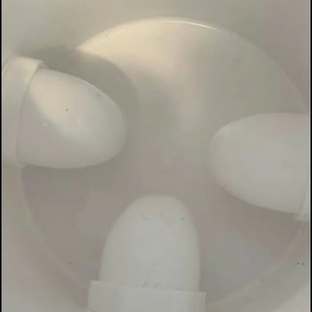 Automatic water, feeder, automatic food feeder